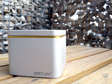 Load image into Gallery viewer, Datum